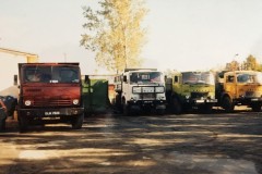 66